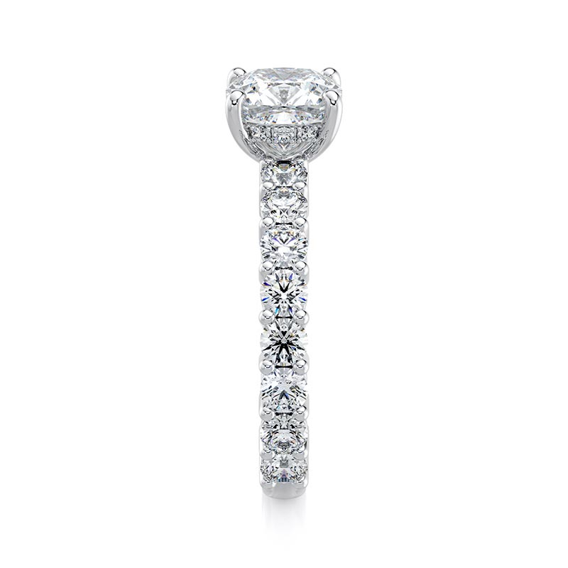 The Cushion Oasis