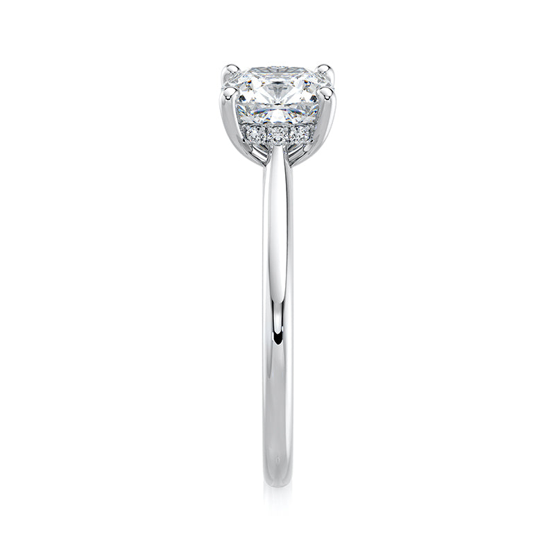 The Cushion Prong