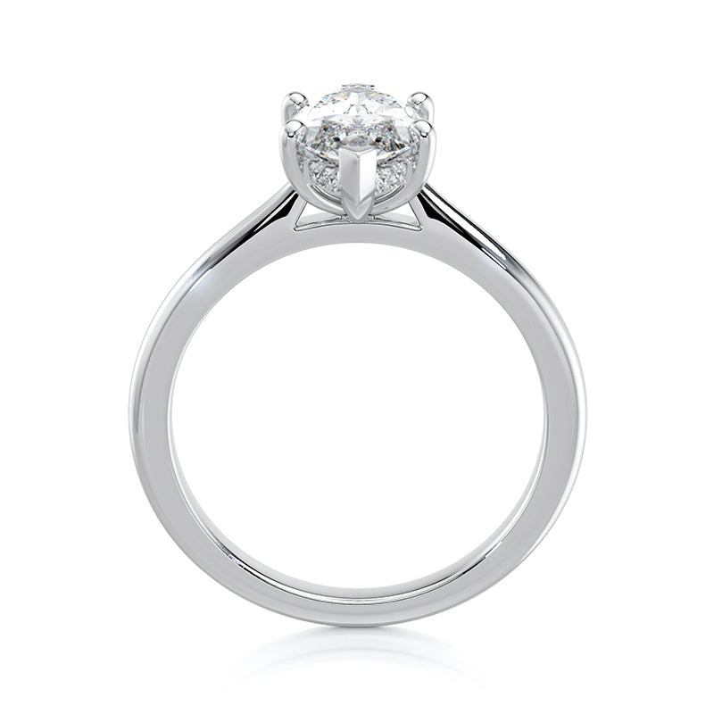 The Marquise Prong