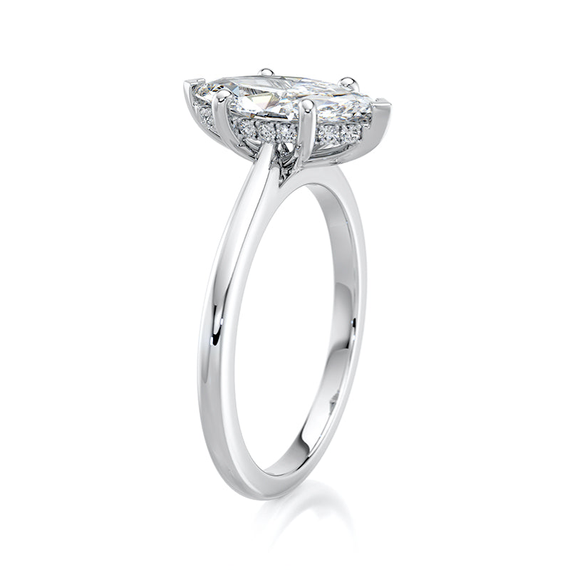 The Marquise Prong