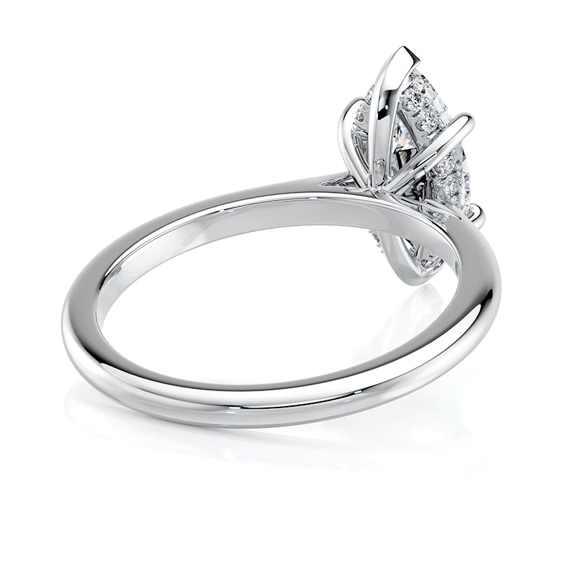 The Marquise Prong