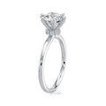 The Crown Halo