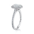 The Radiant Accent Halo