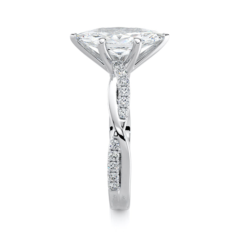 The Marquise Vine