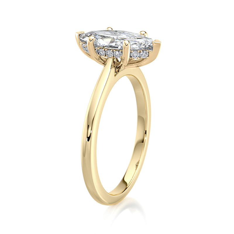 The Marquise Prong