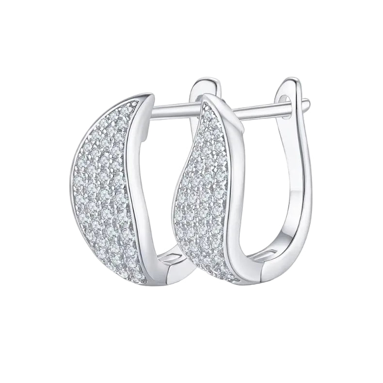 Silver hoop earrings with clear igi certified diamond earrings in pakistan on a white background