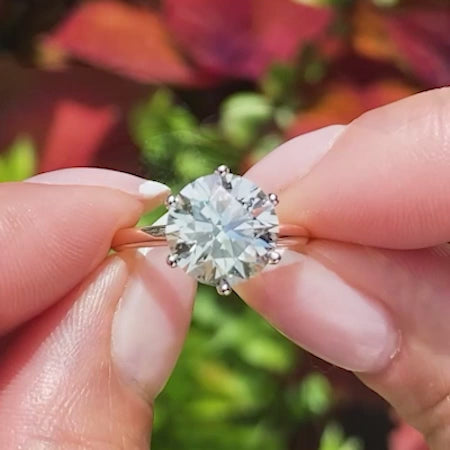 The Crown Halo