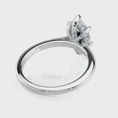 The Marquise Prong