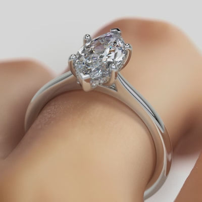 The Marquise Prong